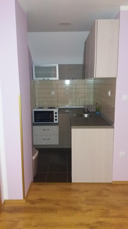 Apartmani Aleksijevic Zlatibor Buitenkant foto