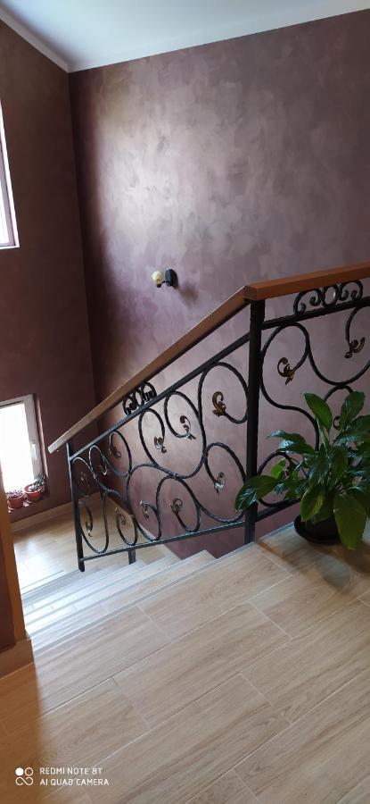 Apartmani Aleksijevic Zlatibor Buitenkant foto