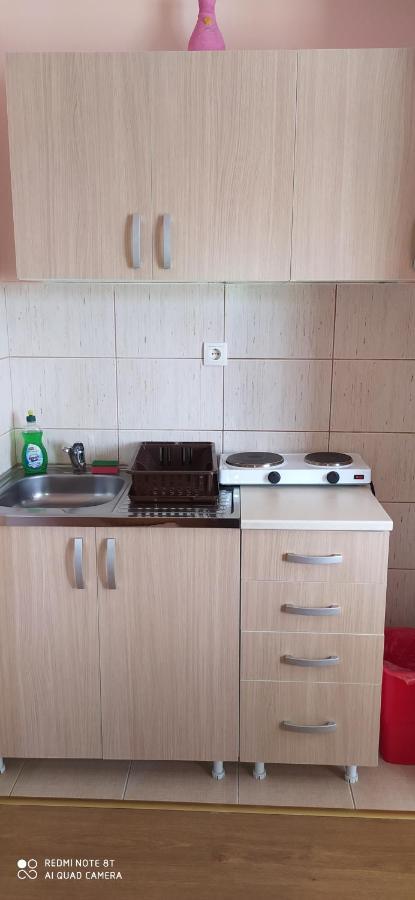 Apartmani Aleksijevic Zlatibor Buitenkant foto