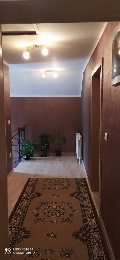 Apartmani Aleksijevic Zlatibor Buitenkant foto